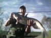 catfish-fly-fishing-9