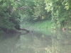 water-cam-392