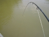spring-2011-fishing-pics-050